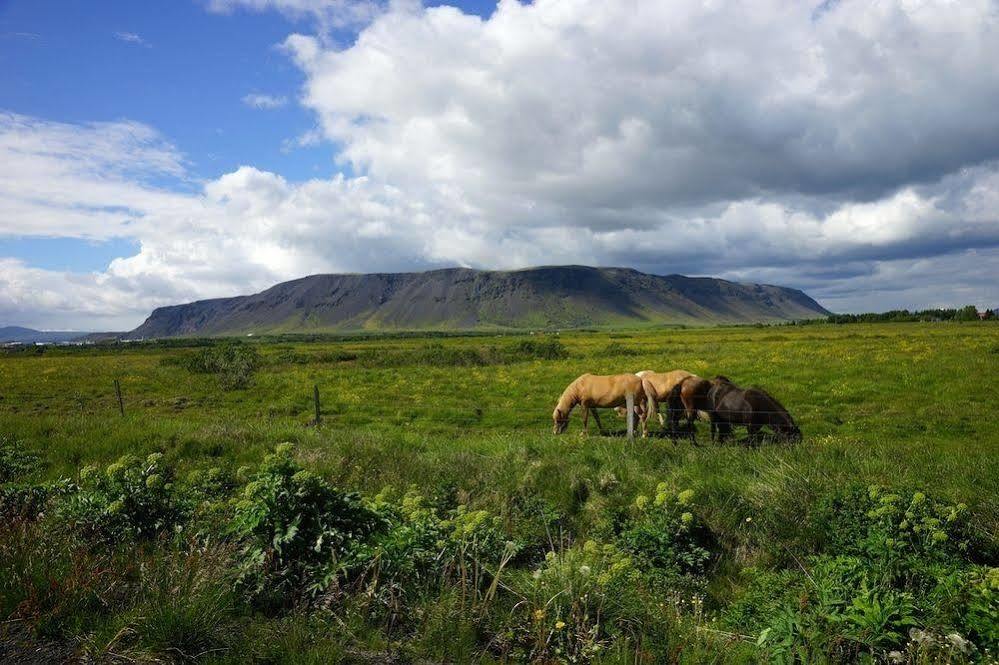 Gesthus Selfoss Ξενοδοχείο Εξωτερικό φωτογραφία